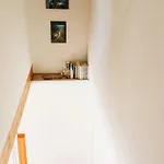 House Blazar * Tolmin