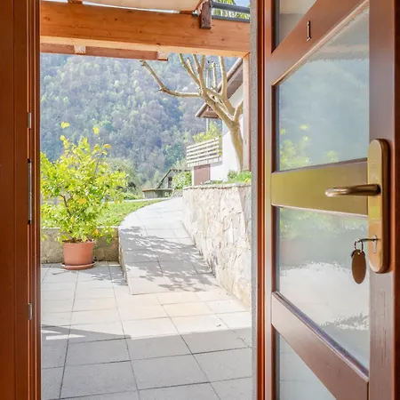 House Blazar * Tolmin