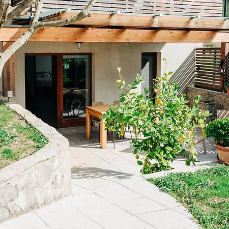 House Blazar Tolmin