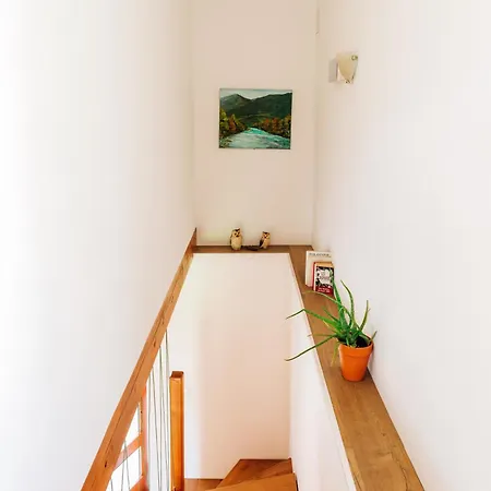 House Blazar * Tolmin