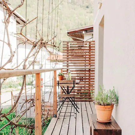 House Blazar * Tolmin