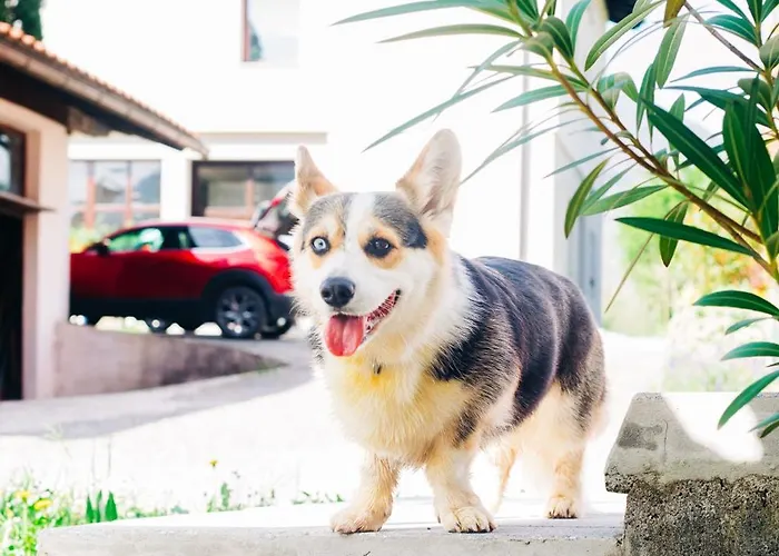 House Blazar Appartement *